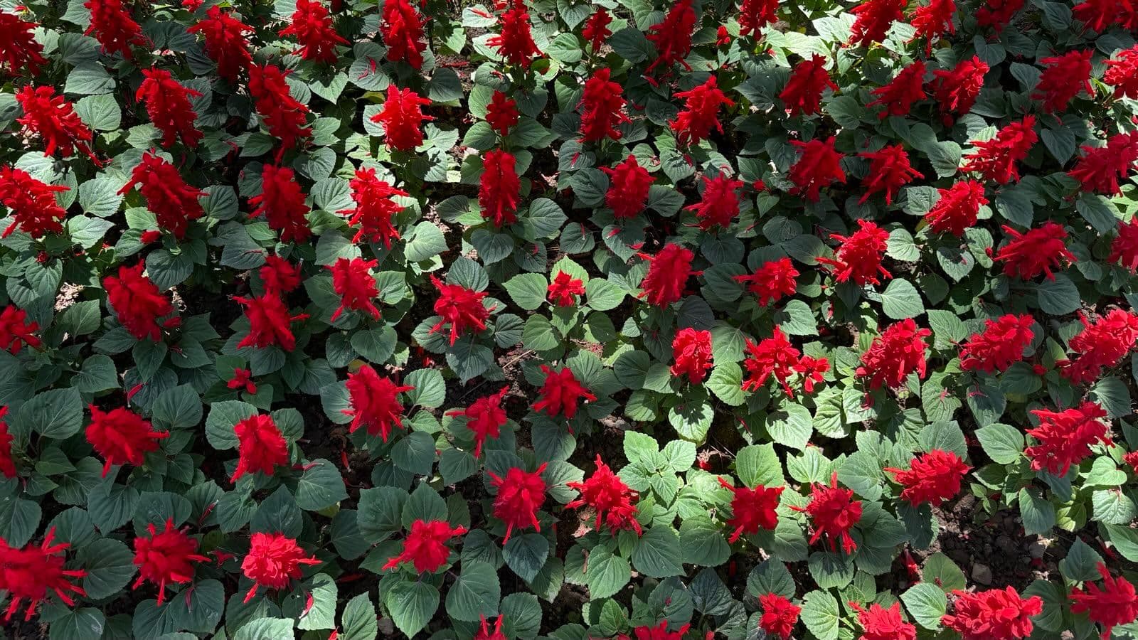 Turkey Tour - Image 8